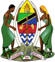 Government of Tanzania